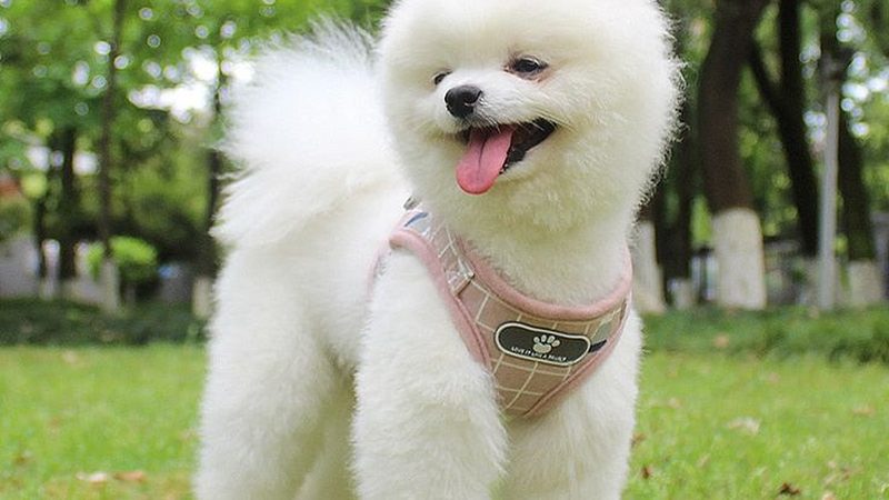 多联机品牌如何选？揭秘性价比高的关键要素